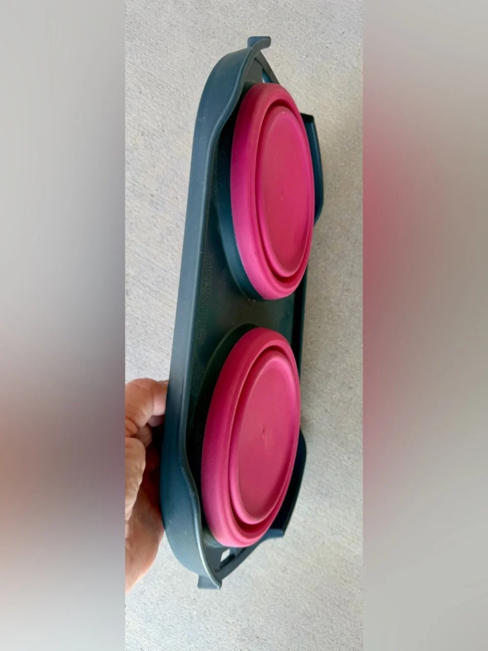 Collapsible & Portable Pet Travel Bowl Set